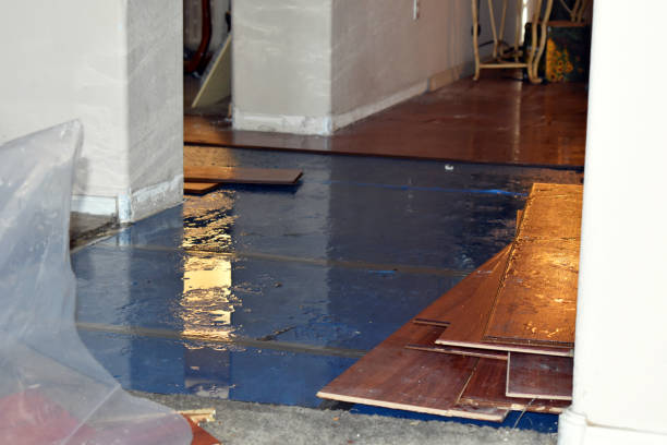 Professional Storm Water Damage Restoration technician working in Maple Park, IL